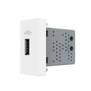 Priza USB Livolo