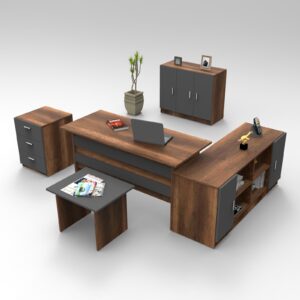 Set Mobilier Pentru Birou 5 Piese VO16-BA